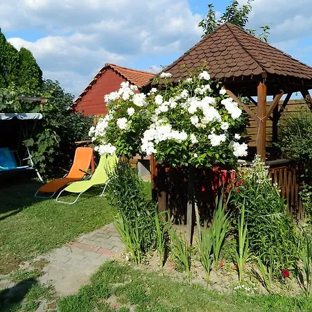Apartment Judit *